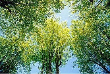 《浩劫前夕》PC配置需求公布 最低要求GTX1060